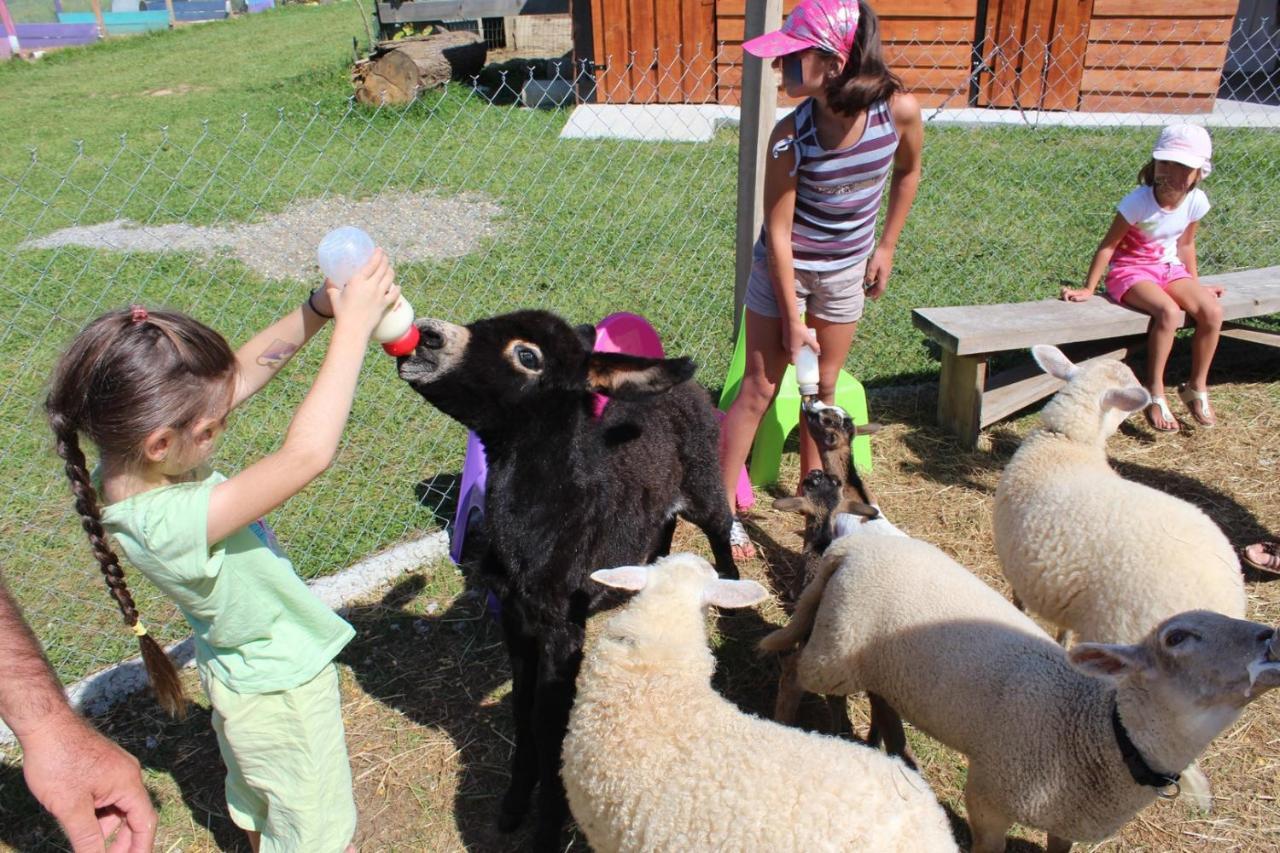 Bed and Breakfast La Petite Ferme De Pouillon - Parc Animalier - Aire De Loisirs Exterior foto